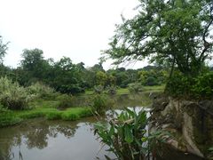 -张坝桂圆林公园