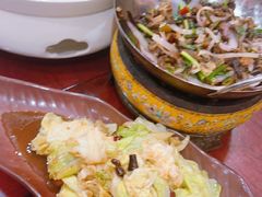 -邵年鸽(杨庄店)