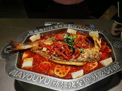 -马有鱼·馕坑烤全鱼(美美2店)