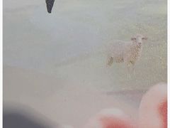 -彤德莱牛肉火锅(双港店)