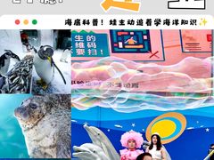 -大连圣亚海洋世界