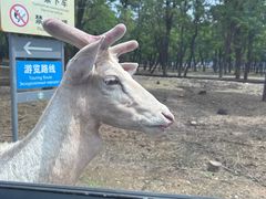 -秦皇岛野生动物园