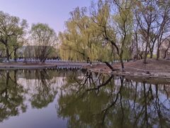 -万泉公园