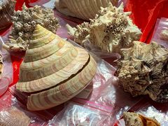 -摩登百货(岗顶店)