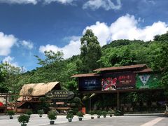 -海南槟榔谷黎苗文化旅游区