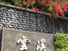 -云溪植物园