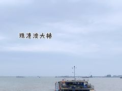 -港珠澳大桥(珠海段)