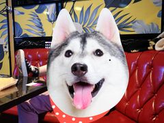 -欢乐迪KTV(南坪上海城店)