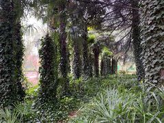 -洛阳市隋唐城遗址植物园