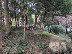 -剪刀石头布家居广场