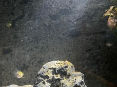 -上海海洋水族馆