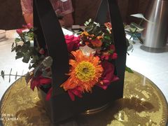 -东北大院·东北菜(三台子店)