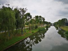 -紫薇公园