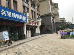 -瑞派名望24h动物医院异宠专科·猫专科·骨科·重症监护分院