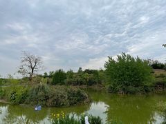 -白鹭湾湿地公园