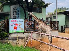 -昆明动物园