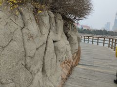 -八大关景区