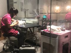 -MOLLY'S萌宠生活馆