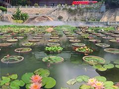 -石峰岩寺