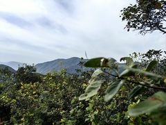 -香山公园