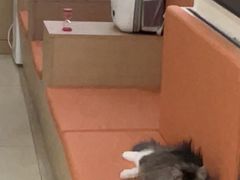 -美迦爱-牙专科·兔科·骨科诊疗中心(北苑店)