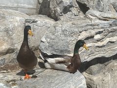 -太平洋海底世界