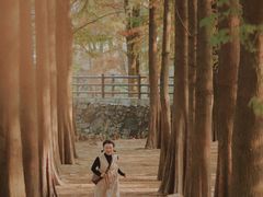 -天花井景区