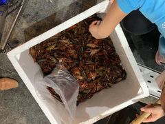 -盒马鲜生(曜一城店)