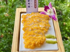 -食全酒美·野生菌腊排骨餐厅(木府店)