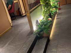 -宏宴·新京菜(望京店)