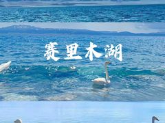 -赛里木湖风景名胜区