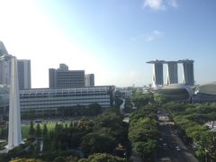 -新加坡瑞士史丹福酒店