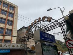 -溪岸路花鸟市场