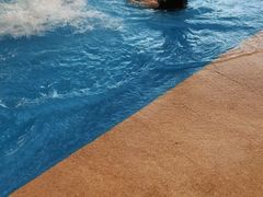 -兴芮温泉度假区