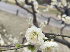 -北京明城墙遗址公园