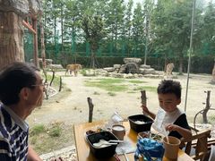 -上海野生动物园老虎餐厅