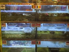 -桥东喜碧海鲜街(水东街店)
