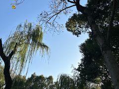 -墅园