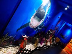 -船奇蒸汽海鲜·闽菜(八市海鲜总店)