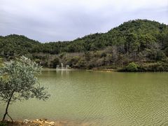 -广州白江湖森林公园