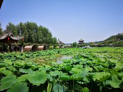 -渭南桃花源民俗文化园