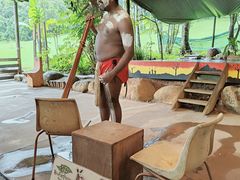 -热带雨林自然公园