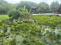 -丝绸小镇荻港古村