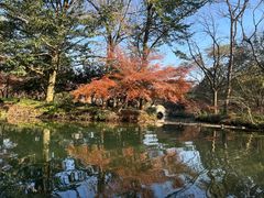 -西湖游船