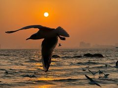 -老虎石海上公园