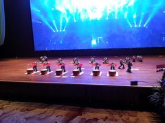 机器人表演-泰华博悦大酒店