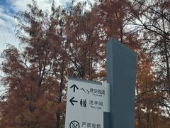 -梅峰山地公园