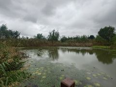 -嘉北郊野公园
