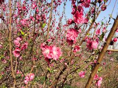 -水濂山森林公园