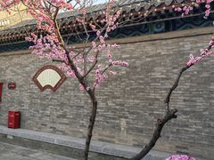 -荣国府